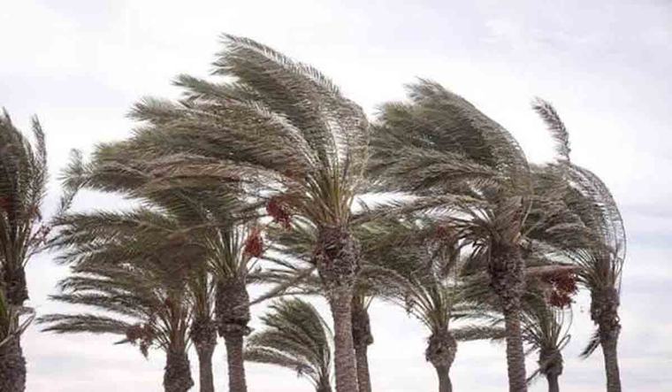 Santa Cruz tendrá una semana de cambios bruscos del clima, vientos intensos y lluvias