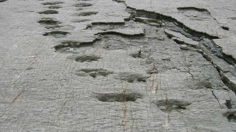 Una aventura entre huellas y paisajes: Sucre alista una nueva ruta por el pasado de los dinosaurios