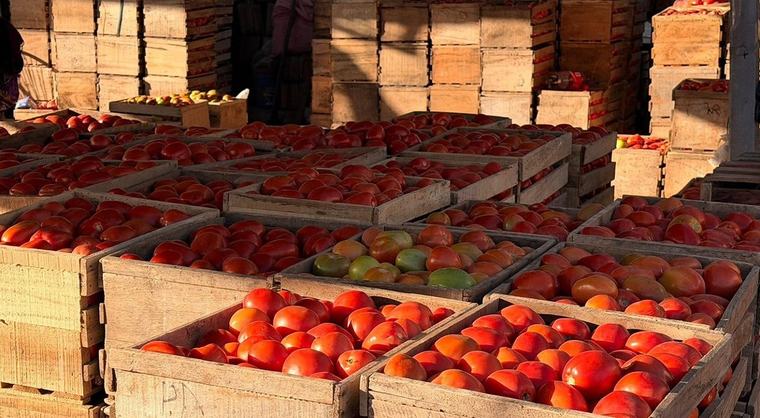 Falta de diésel y nevadas das encarecen las verduras en Cochabamba