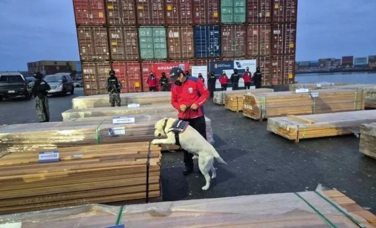 Una delegación del Senado de Chile llegará a Bolivia por el “caso maderas”