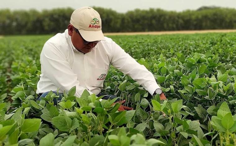 Anapo organiza en Santa Cruz el primer Congreso Internacional de Agricultura Sostenible