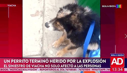 La Paz En vivo Corazón Abandonado