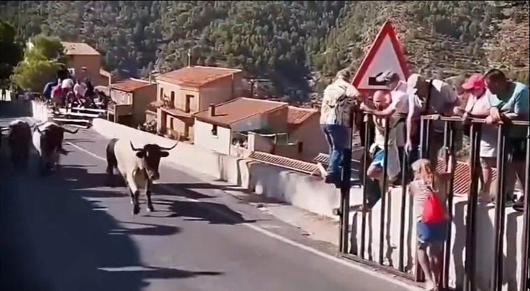 Toro embiste a dos personas en España; una mujer pierde la vida