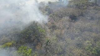 Cinco incendios activos afectan a Santa Cruz; tres de ellos están en San Rafael