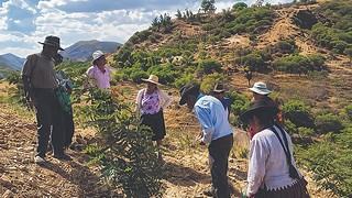 Biocomercio es la riqueza natural que Bolivia quiere convertir en más divisas