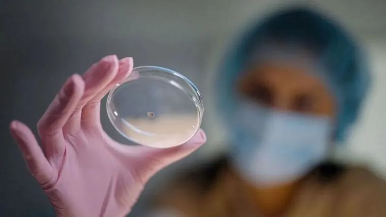 Investigadores iraníes desarrollan un hidrogel fotosensible para tratar el cáncer de mama